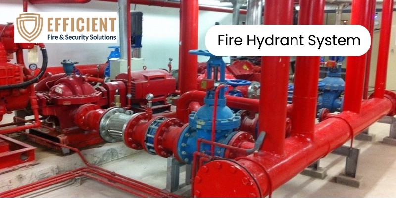 Fire hydrant systems Manufacturer